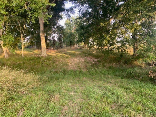 481.1 acres in Bay City County - photo 17