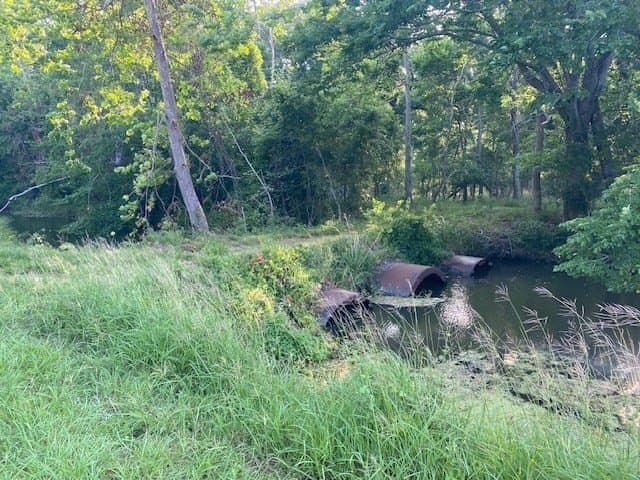 481.1 acres in Bay City County - photo 55