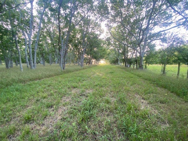 481.1 acres in Bay City County - photo 27