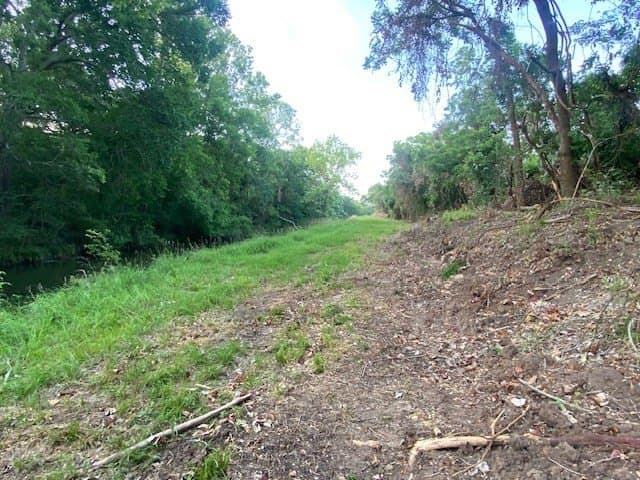 481.1 acres in Bay City County - photo 38
