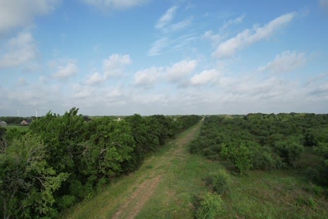 481.1 acres in Bay City County - photo 63
