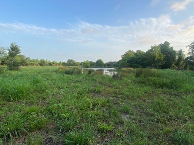 481.1 acres in Bay City County - photo 30