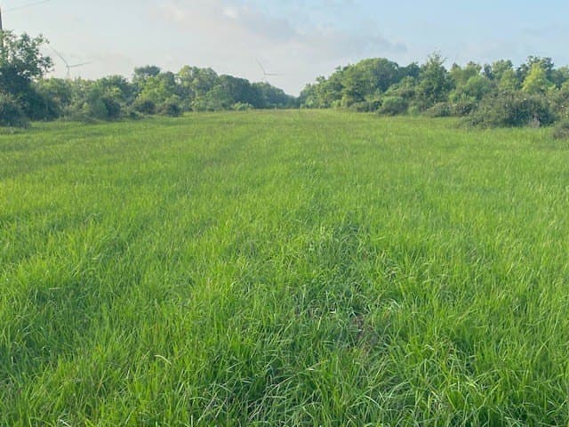 481.1 acres in Bay City County - photo 31