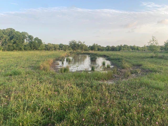 481.1 acres in Bay City County - photo 14