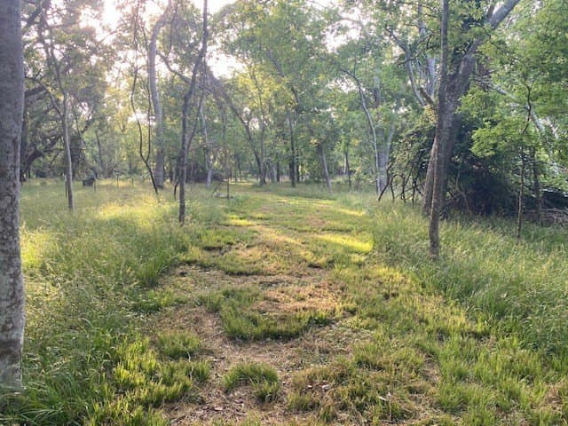 481.1 acres in Bay City County - photo 52