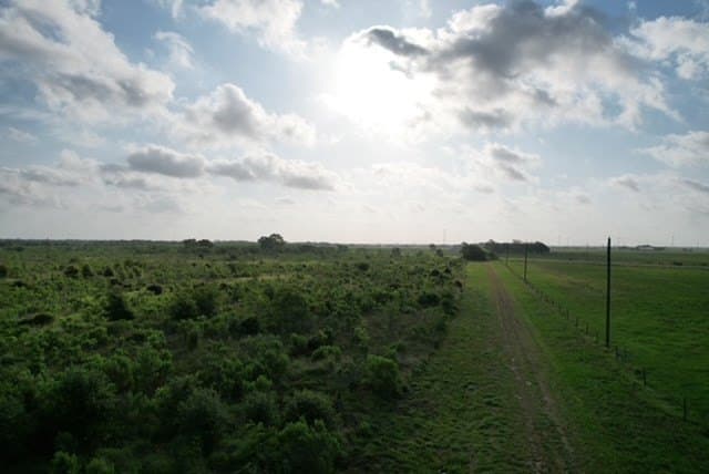 481.1 acres in Bay City County - photo 57