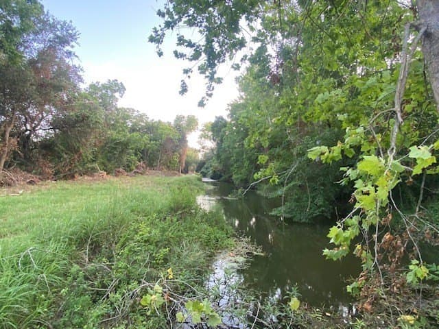 481.1 acres in Bay City County - photo 35