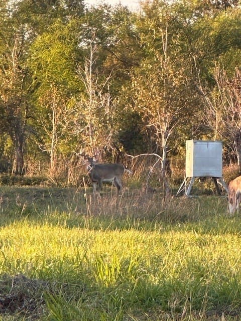 481.1 acres in Bay City County - photo 9