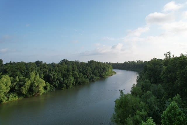 481.1 acres in Bay City County - photo 43