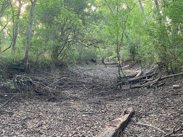 481.1 acres in Bay City County - photo 33