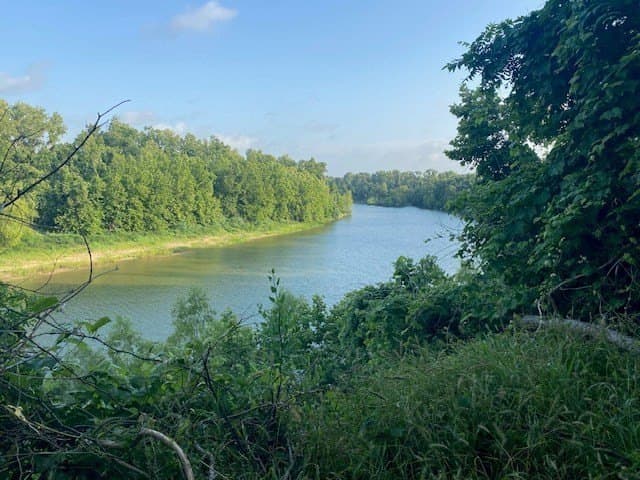481.1 acres in Bay City County - photo 51