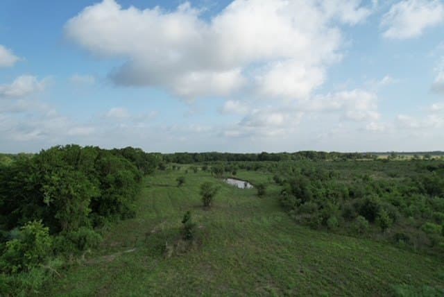 481.1 acres in Bay City County - photo 59