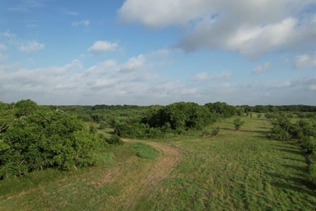 481.1 acres in Bay City County - photo 56