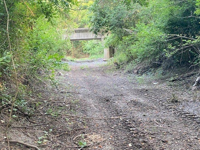 481.1 acres in Bay City County - photo 32