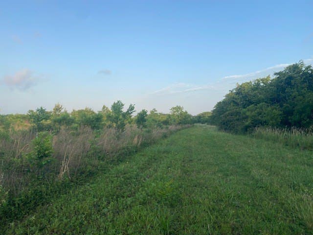 481.1 acres in Bay City County - photo 16