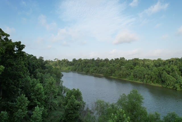 481.1 acres in Bay City County - photo 42
