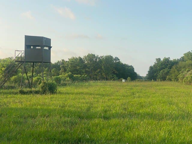 481.1 acres in Bay City County - photo 26