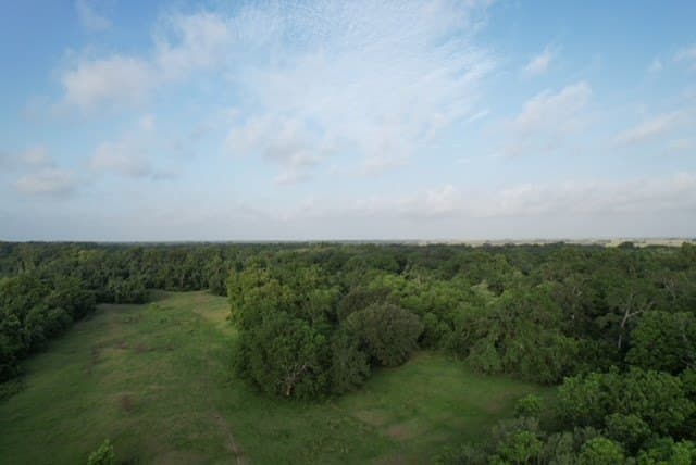 481.1 acres in Bay City County - photo 47