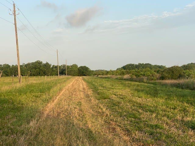 481.1 acres in Bay City County - photo 13