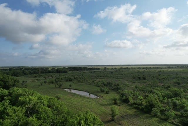 481.1 acres in Bay City County - photo 62