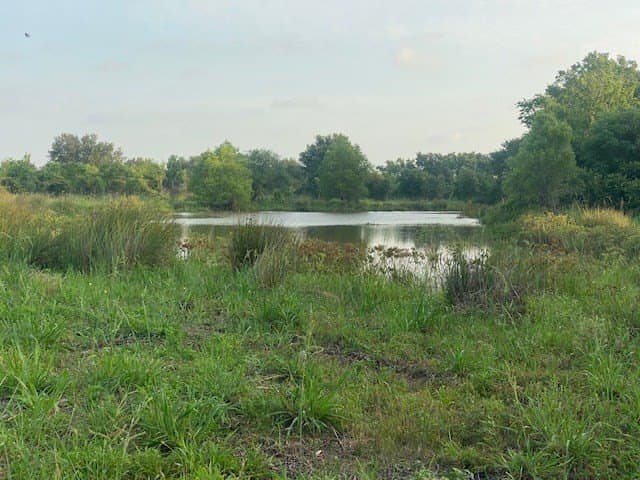 481.1 acres in Bay City County - photo 29
