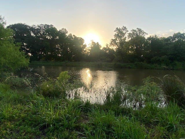 481.1 acres in Bay City County - photo 20