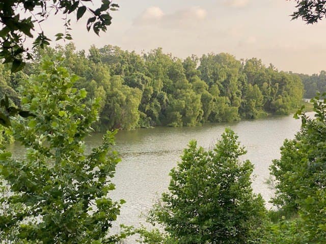 481.1 acres in Bay City County - photo 40