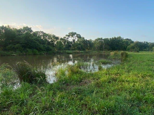 481.1 acres in Bay City County - photo 19