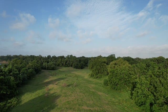 481.1 acres in Bay City County - photo 45