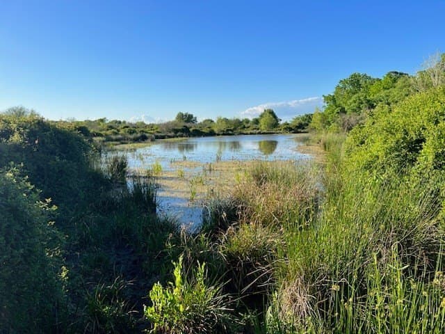 481.1 acres in Bay City County - photo 12