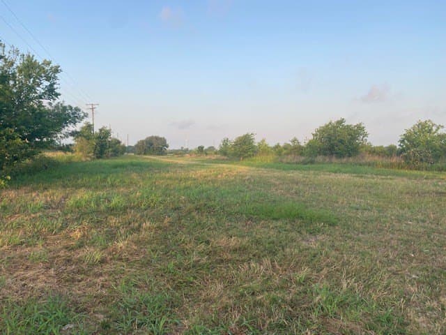 481.1 acres in Bay City County - photo 5