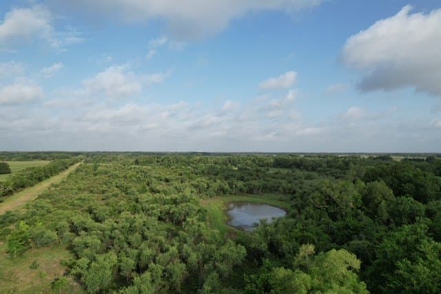 481.1 acres in Bay City County - photo 61