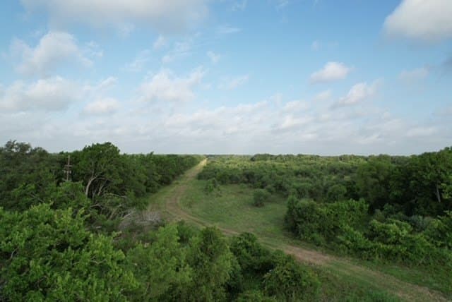 481.1 acres in Bay City County - photo 58