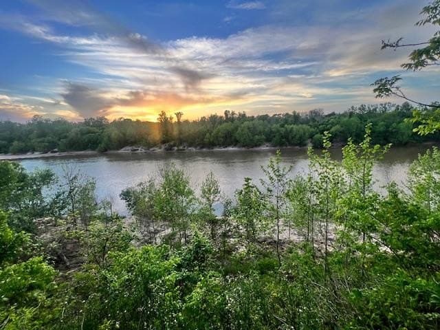 481.1 acres in Bay City County