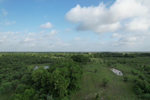 481.1 acres in Bay City County - photo 60