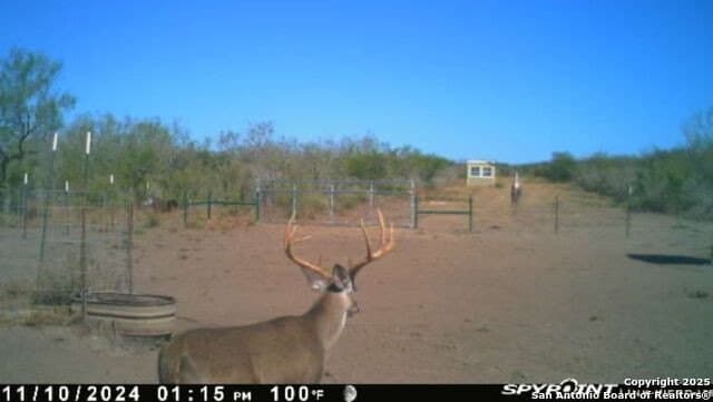 20 acres in Duval County