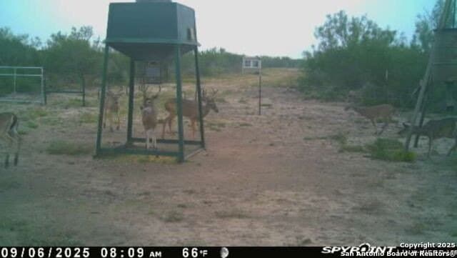 20 acres in Duval County gallery image 2