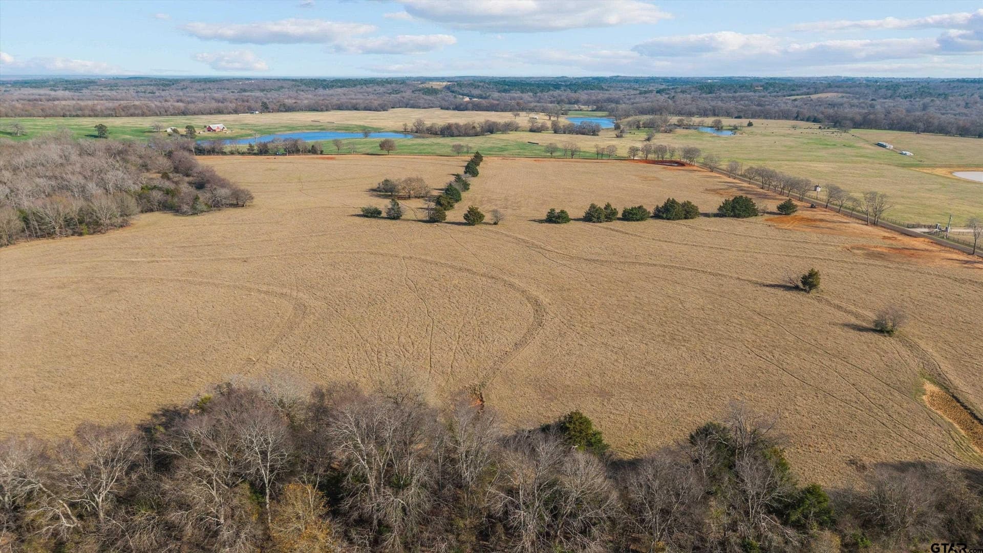 17 acres in Smith County - photo 13