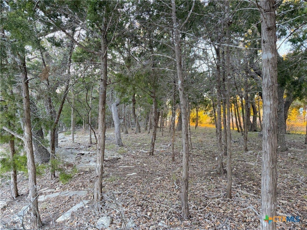 0.5 acres in Comal County gallery image 2