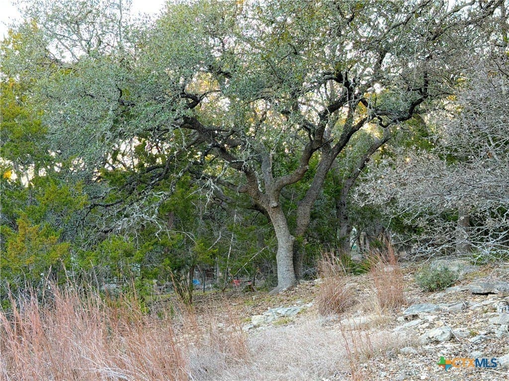 0.5 acres in Comal County - photo 10