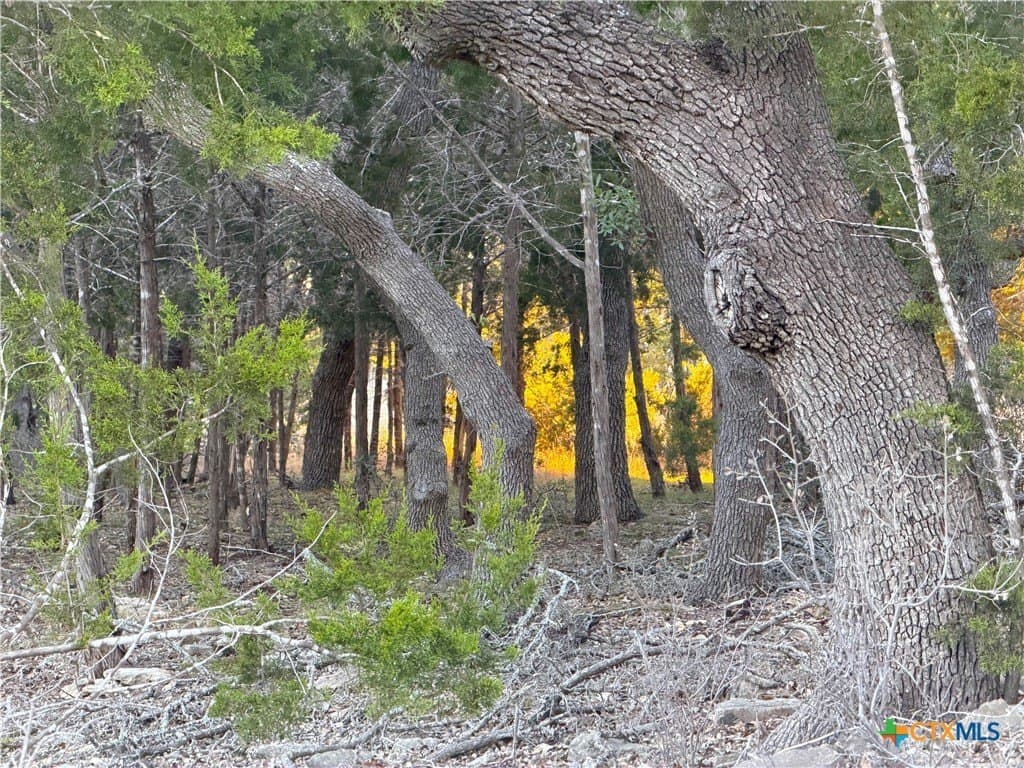 0.5 acres in Comal County featured view