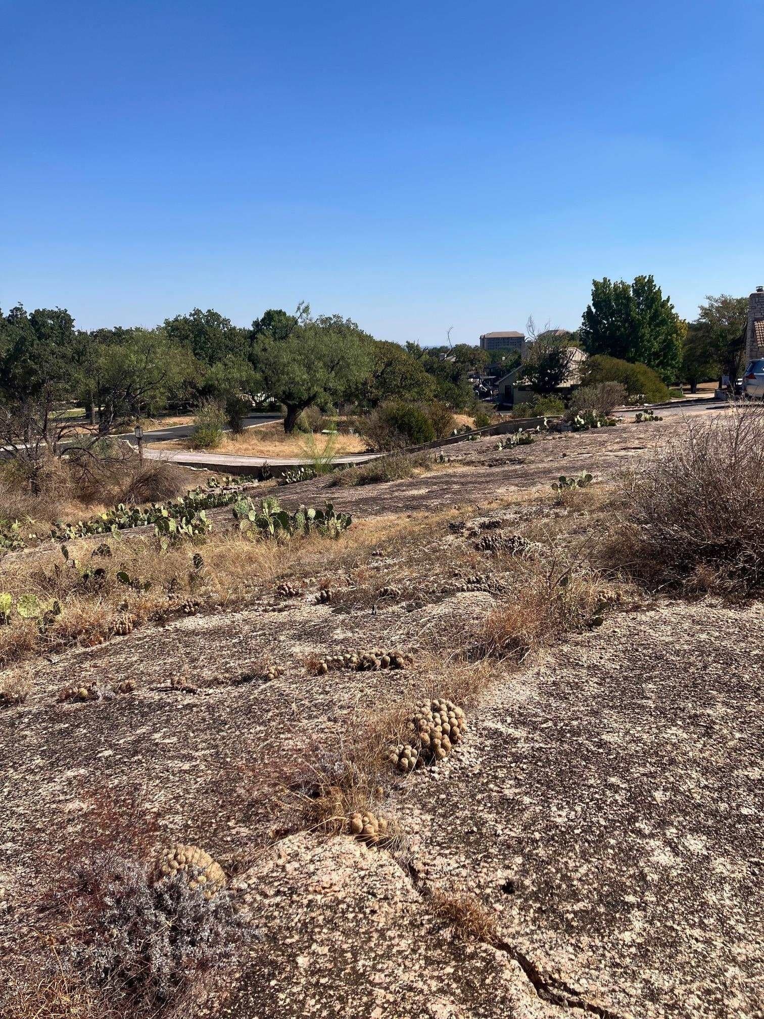 0.26 acres in Llano County gallery image 2