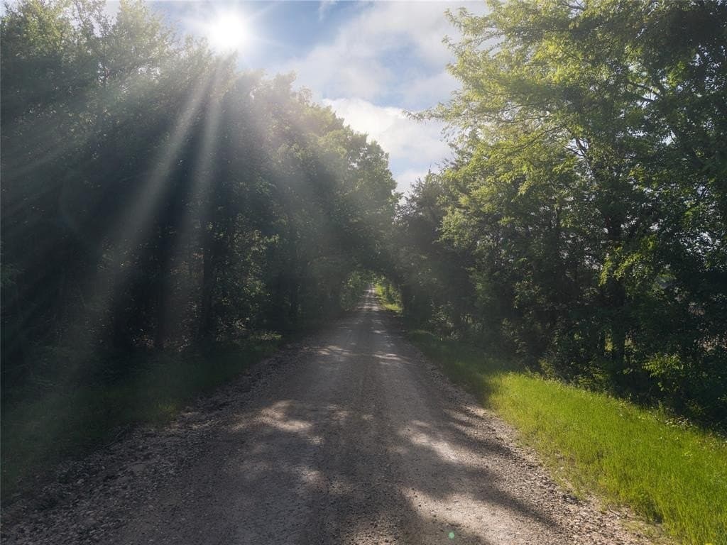 38.37 acres in Fannin County featured view