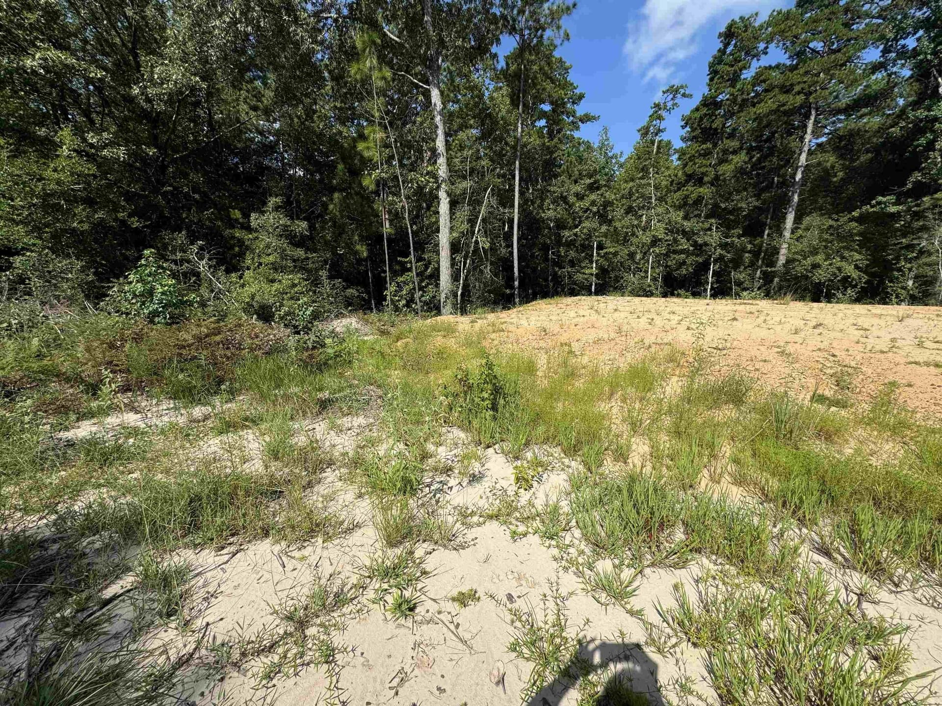 0.49 acres in Texas County - photo 6