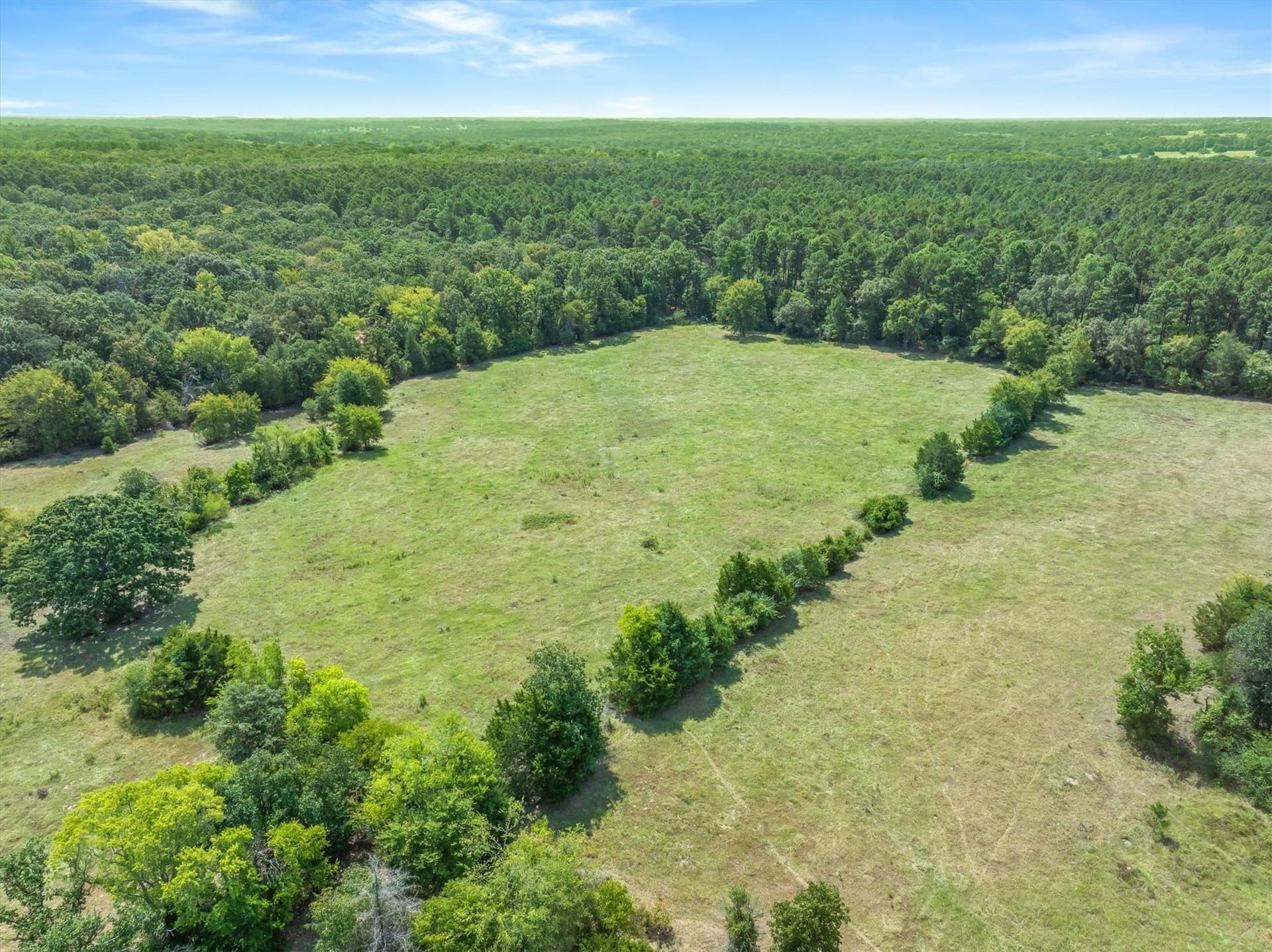 31.65 acres in Van Zandt County - photo 9