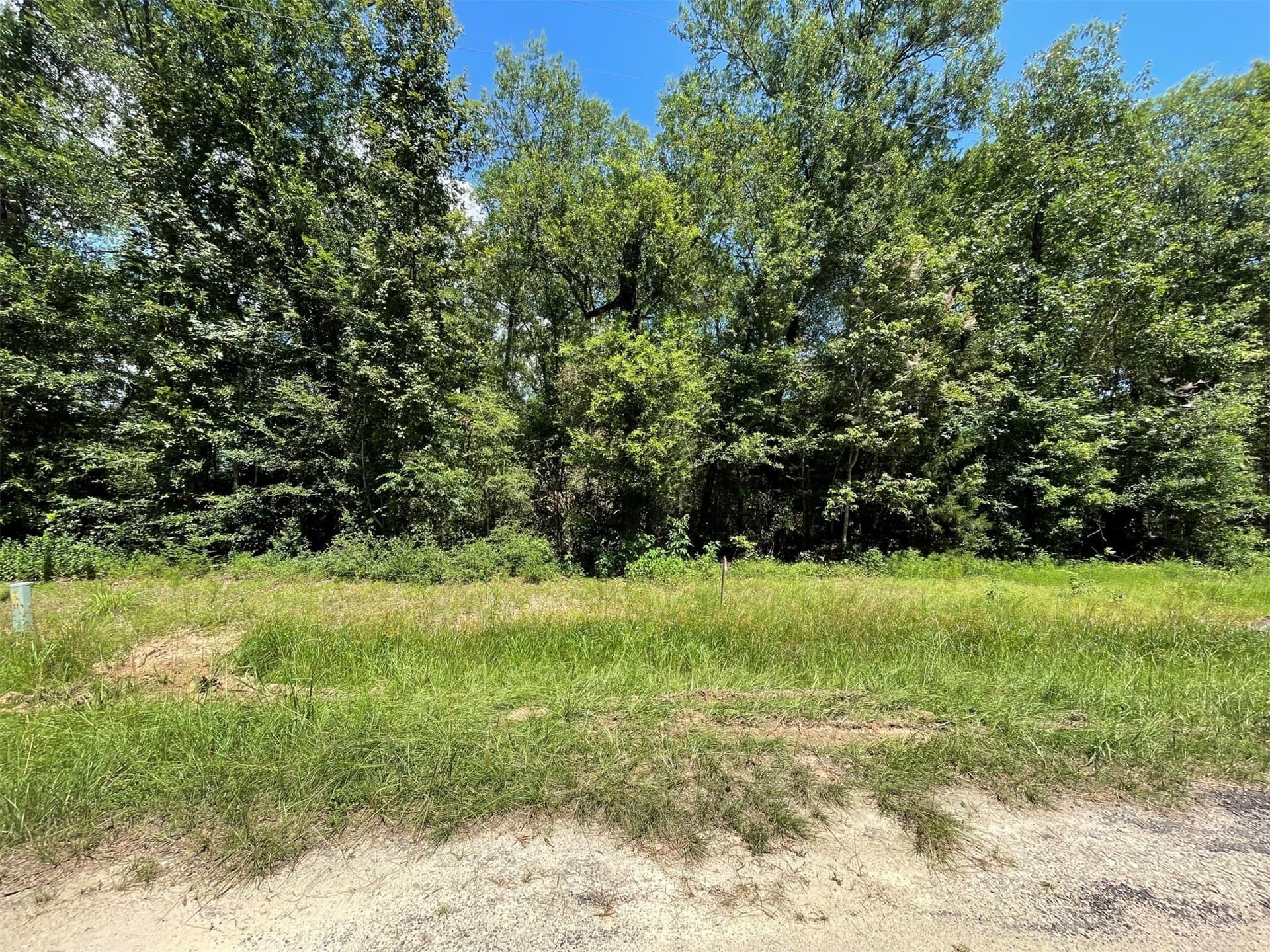 0.25 acres in Polk County - photo 30