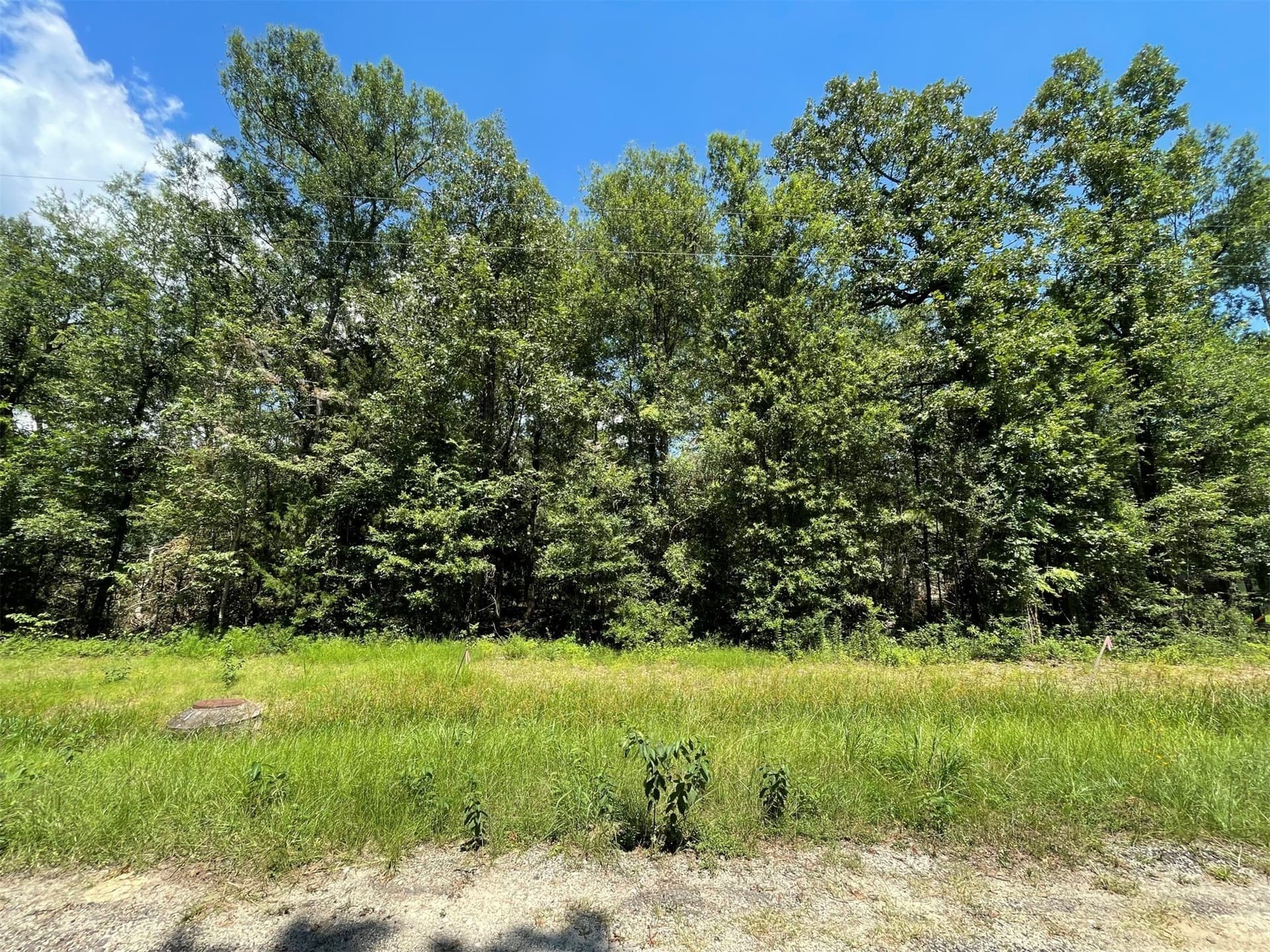 0.25 acres in Polk County - photo 34