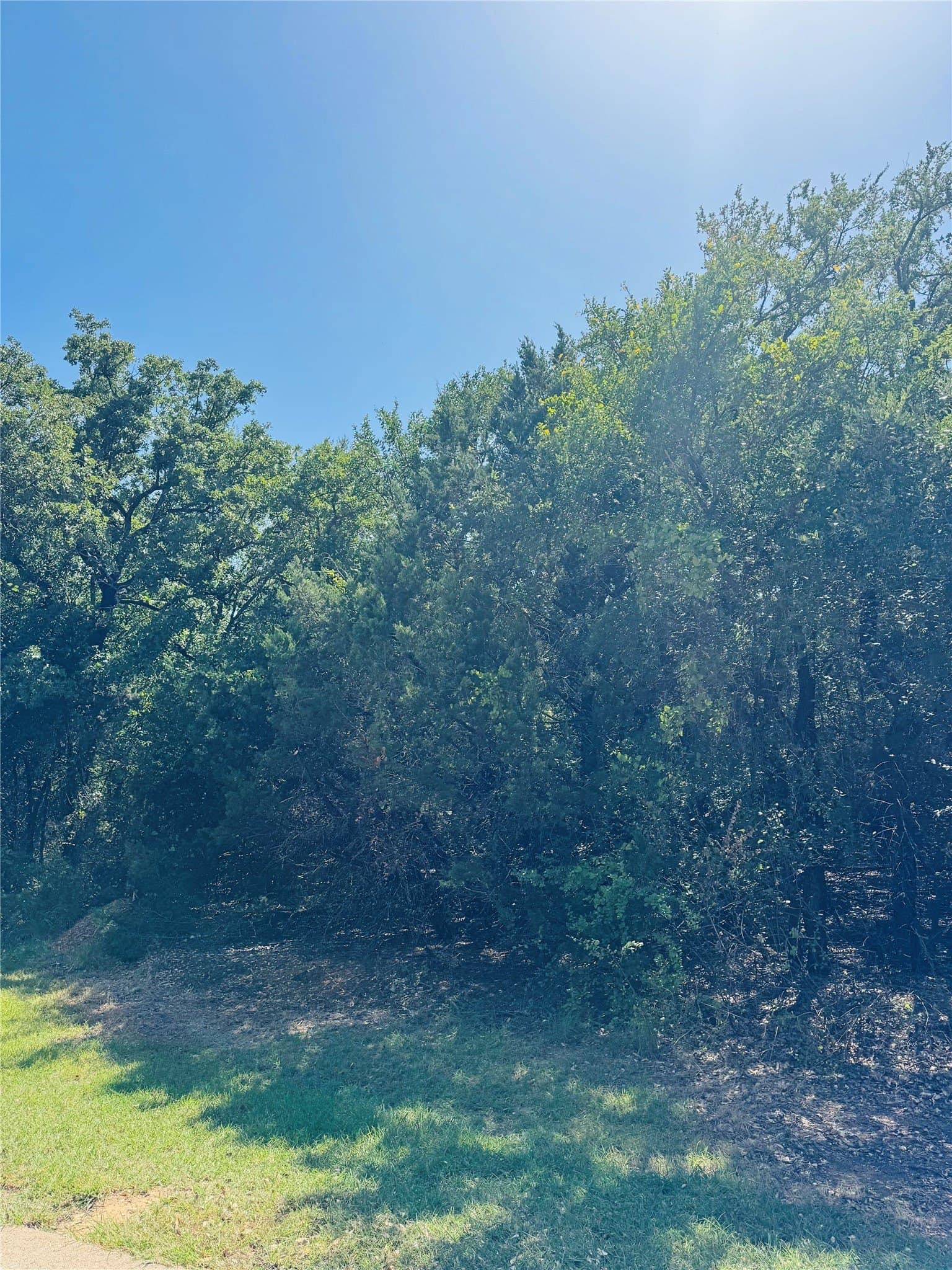 0.31 acres in Hill County - photo 3