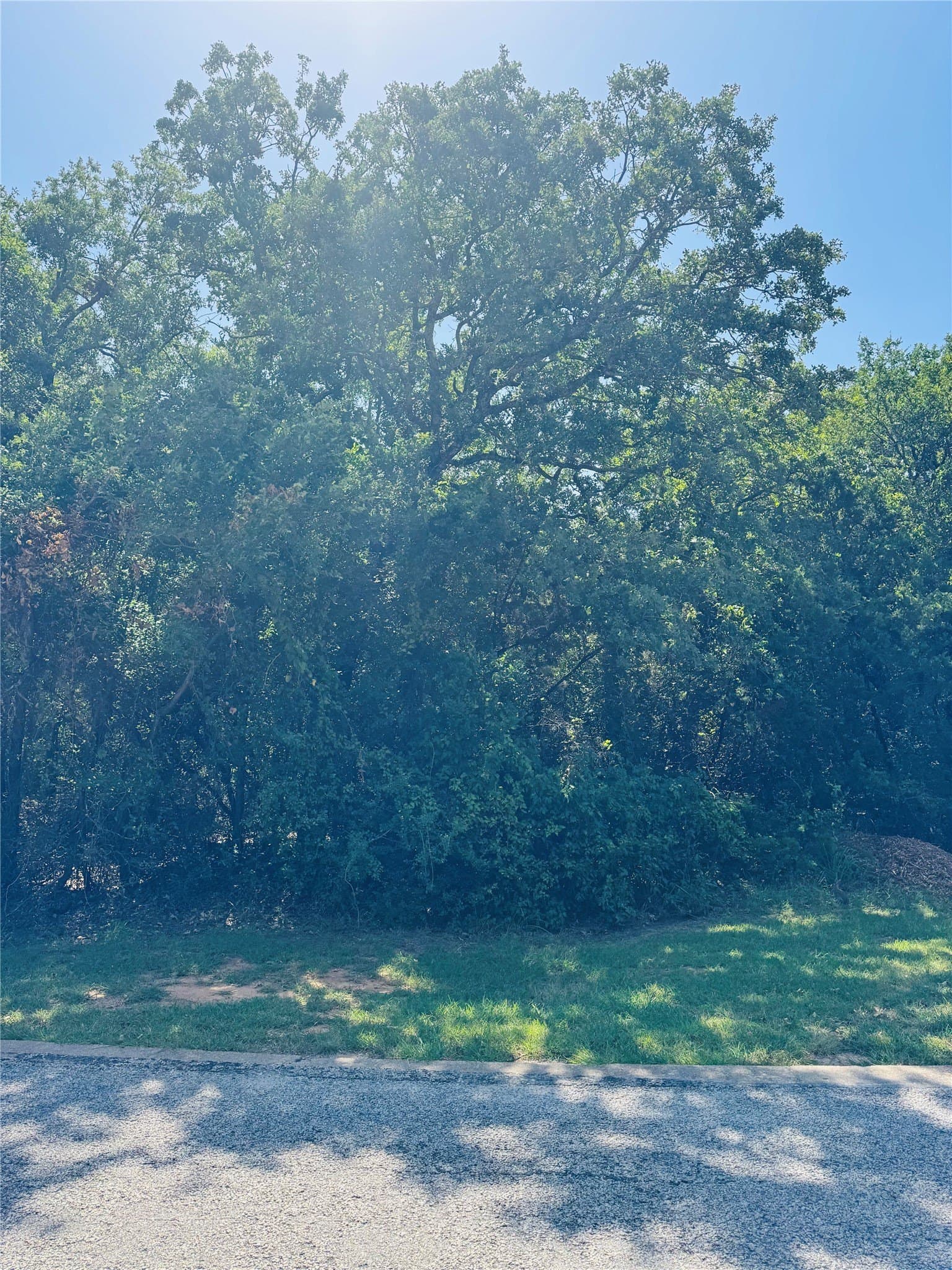 0.31 acres in Hill County - photo 2