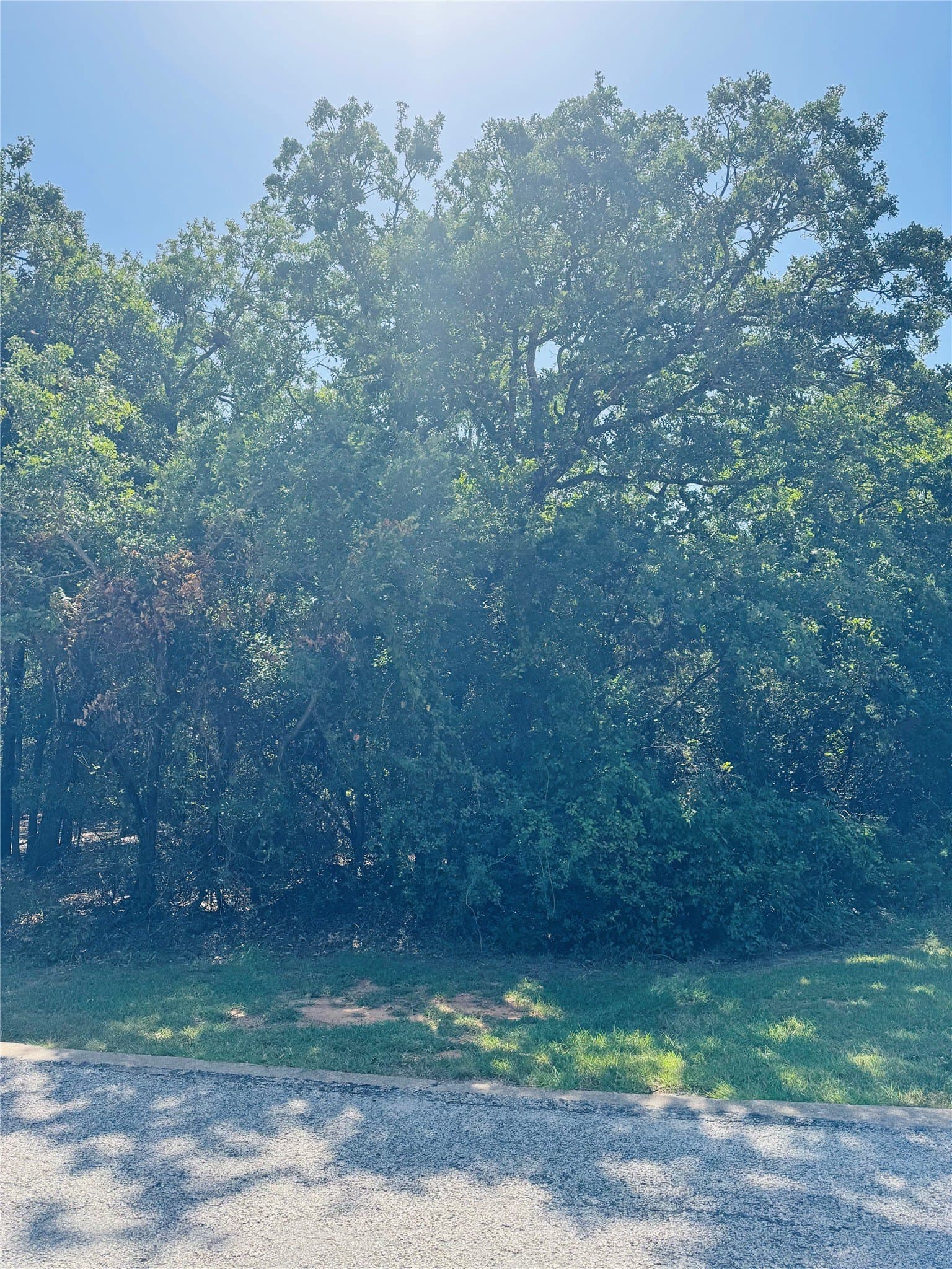 0.31 acres in Hill County - photo 4